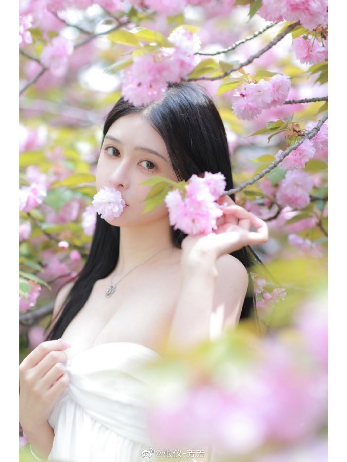 寻梦环游记